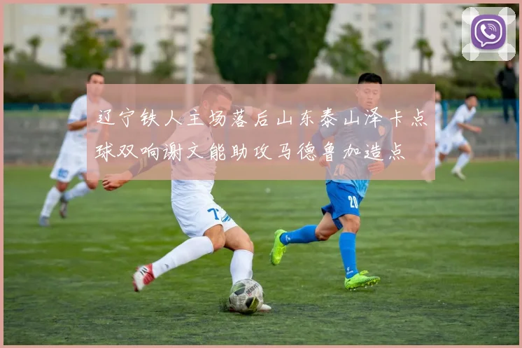 辽宁铁人主场落后山东泰山泽卡点球双响谢文能助攻马德鲁加造点